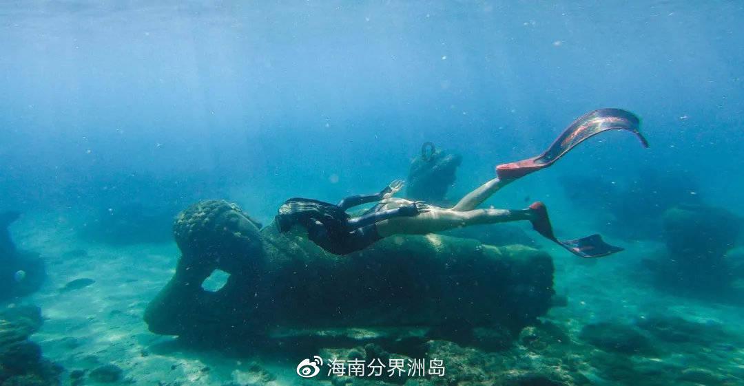 探寻老板说业绩好你们辛苦了怎么回复?,开启知识星球平台的精彩世界